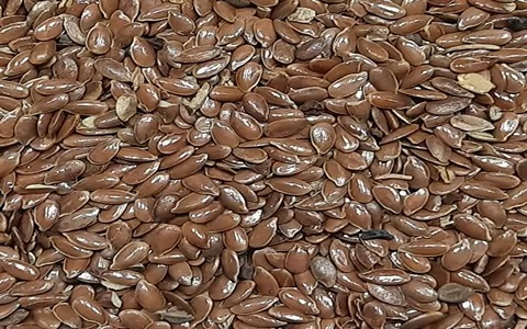 تصویر 1 از قیمت خرید تخم کتان خوراکی با فروش عمده