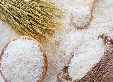 تصویر 3 از قیمت خرید برنج طارم هاشمی ممتاز عمده به صرفه و ارزان