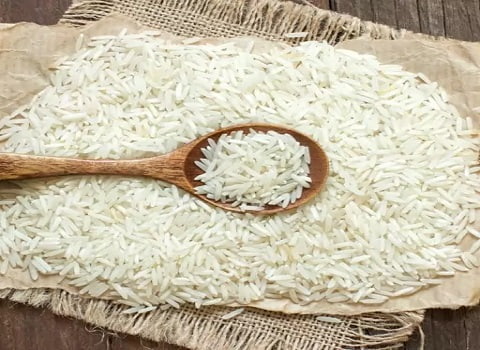 قیمت خرید برنج ندا گرگان + فروش ویژه