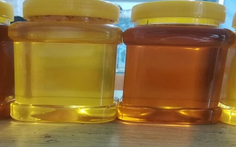 تصویر 1 از خرید و قیمت عسل چهل گیاه اصل + فروش عمده