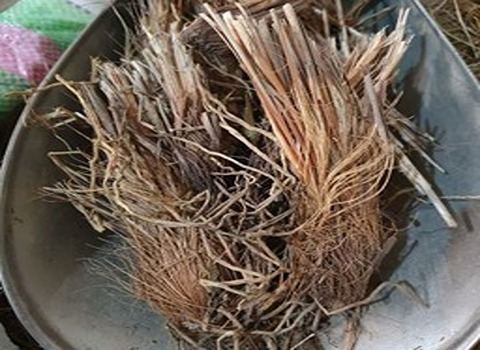 تصویر 3 از خرید و قیمت کاه مکی خشک + فروش عمده