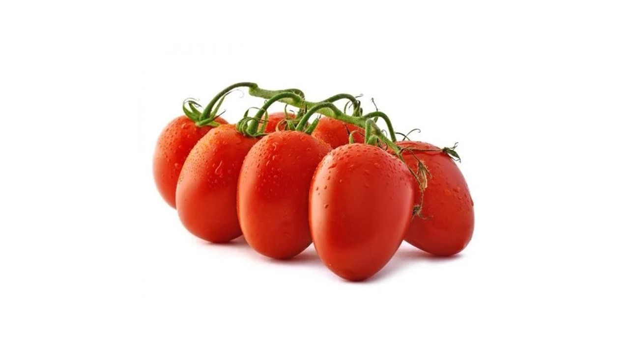 تصویر 4 از خرید گوجه فرنگی صادراتی + قیمت فروش استثنایی