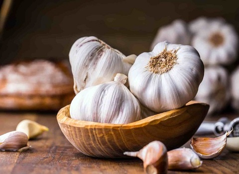 تصویر 2 از قیمت خرید سیر بذری همدان + فروش ویژه