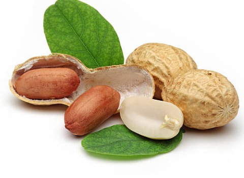 تصویر 1 از قیمت خرید بادام زمینی درجه یک + فروش ویژه