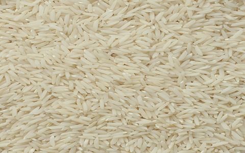 تصویر 1 از فروش برنج هاشمی شمال + قیمت خرید به صرفه