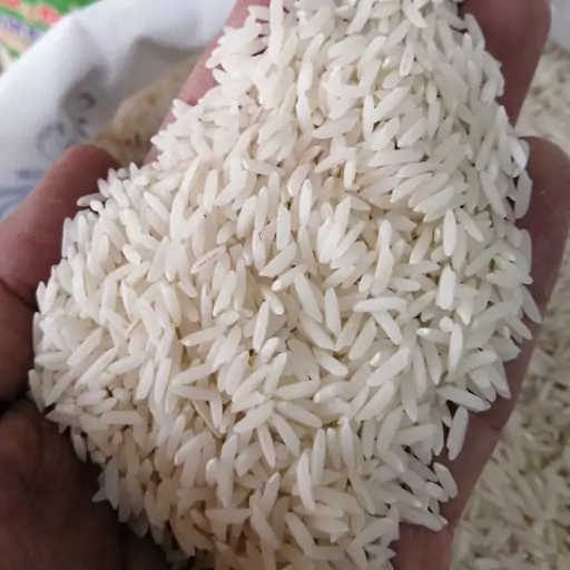 تصویر 4 از فروش برنج هاشمی شمال + قیمت خرید به صرفه