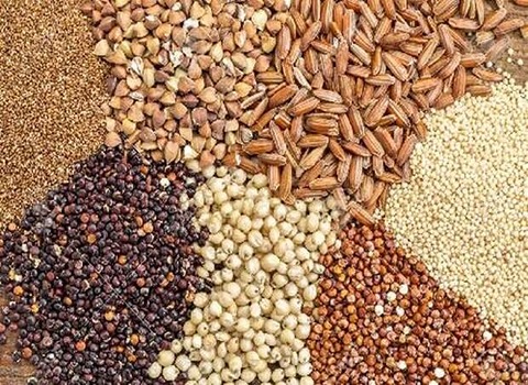 تصویر 1 از خرید و قیمت مکمل ویتامین دامی + فروش عمده