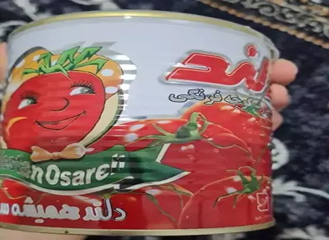 تصویر 1 از قیمت رب گوجه فرنگی دلند + خرید باور نکردنی
