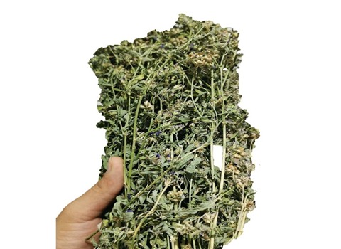 تصویر 3 از قیمت خرید یونجه خشک خرگوش + فروش ویژه