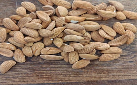 تصویر 3 از فروش بادام کاغذی شور + قیمت خرید به صرفه