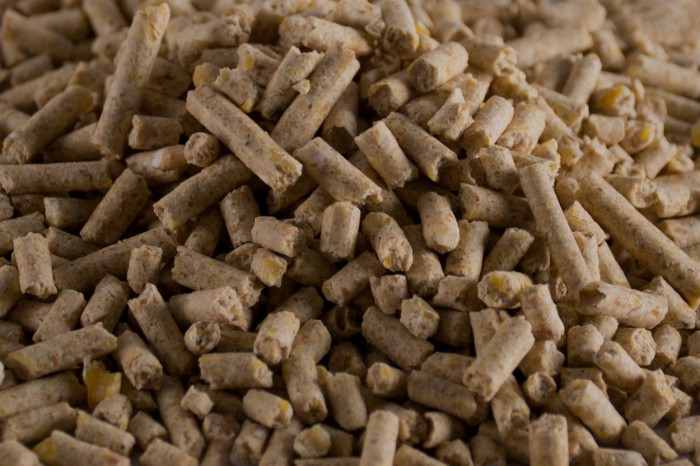تصویر 1 از فروش خوراک کنسانتره گوسفندی + قیمت خرید به صرفه