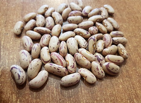 تصویر 1 از خرید و قیمت لوبیا چیتی ایرانی + فروش عمده