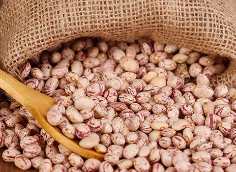 تصویر 3 از خرید و قیمت لوبیا چیتی ایرانی + فروش عمده