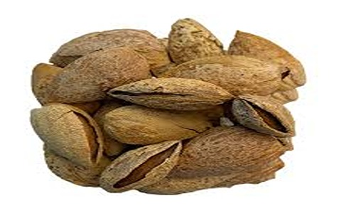 تصویر 1 از قیمت بادام درختی کاغذی با کیفیت ارزان + خرید عمده