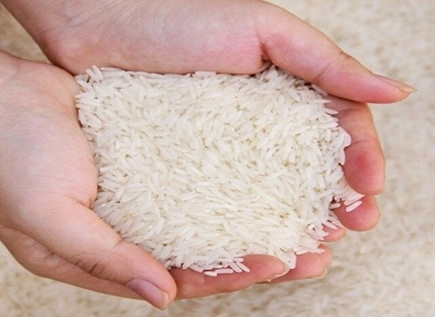 تصویر 1 از خرید برنج ایرانی درجه یک + قیمت فروش استثنایی