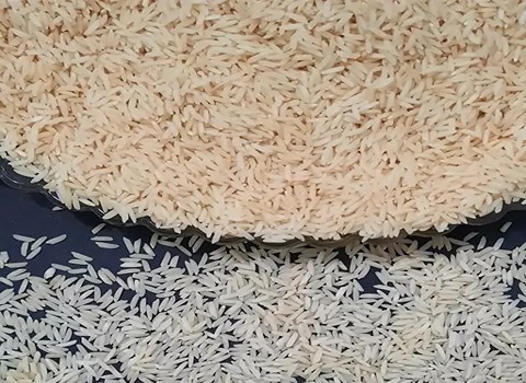 تصویر 1 از خرید برنج طارم هاشمی + قیمت فروش استثنایی