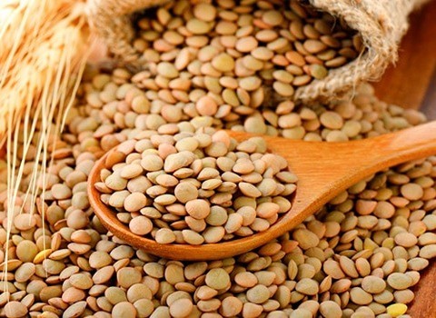 تصویر 2 از خرید و فروش عدس گلستان 900 گرمی با شرایط فوق العاده