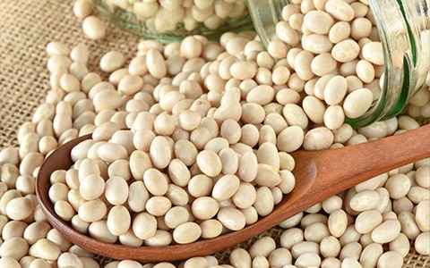 تصویر 3 از خرید و قیمت لوبیا سفید بزرگ + فروش عمده