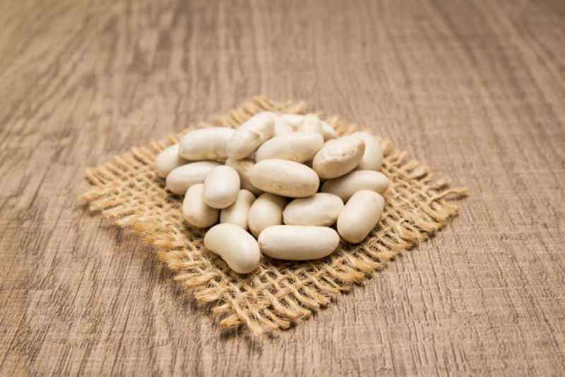 تصویر 4 از خرید و قیمت لوبیا سفید بزرگ + فروش عمده