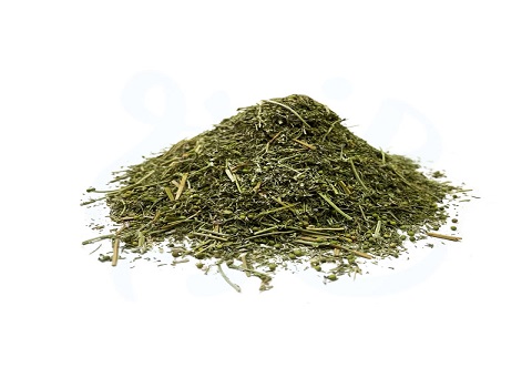 قیمت خرید گیاه شاتره خشک شده با فروش عمده