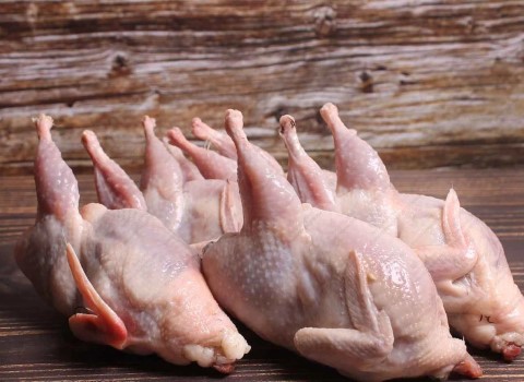 تصویر 2 از فروش گوشت بلدرچین مشهد + قیمت خرید به صرفه