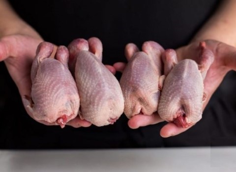 تصویر 4 از فروش گوشت بلدرچین مشهد + قیمت خرید به صرفه