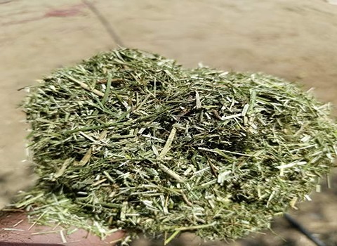 تصویر 2 از خرید و قیمت پودر یونجه خشک + فروش عمده