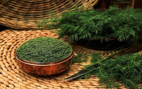 تصویر 3 از قیمت خرید سبزی شوید خشک شده با فروش عمده