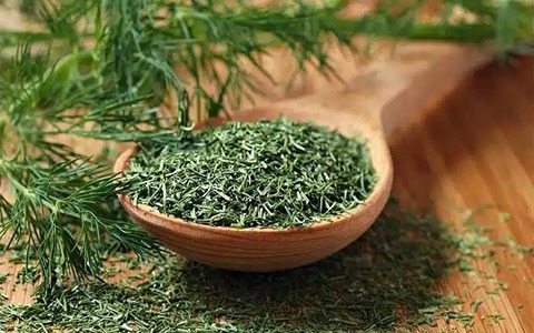 تصویر 2 از قیمت خرید سبزی شوید خشک شده با فروش عمده