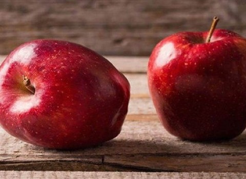 تصویر 4 از خرید سیب درختی قرمز صادراتی + قیمت فروش استثنایی