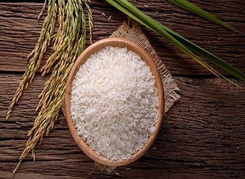 تصویر 3 از قیمت خرید برنج کشت دوم فریدونکنار با فروش عمده