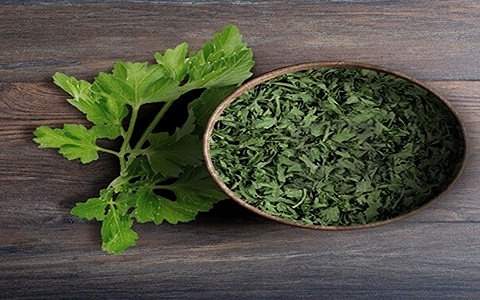 تصویر 2 از خرید و قیمت سبزی جعفری خشک + فروش عمده