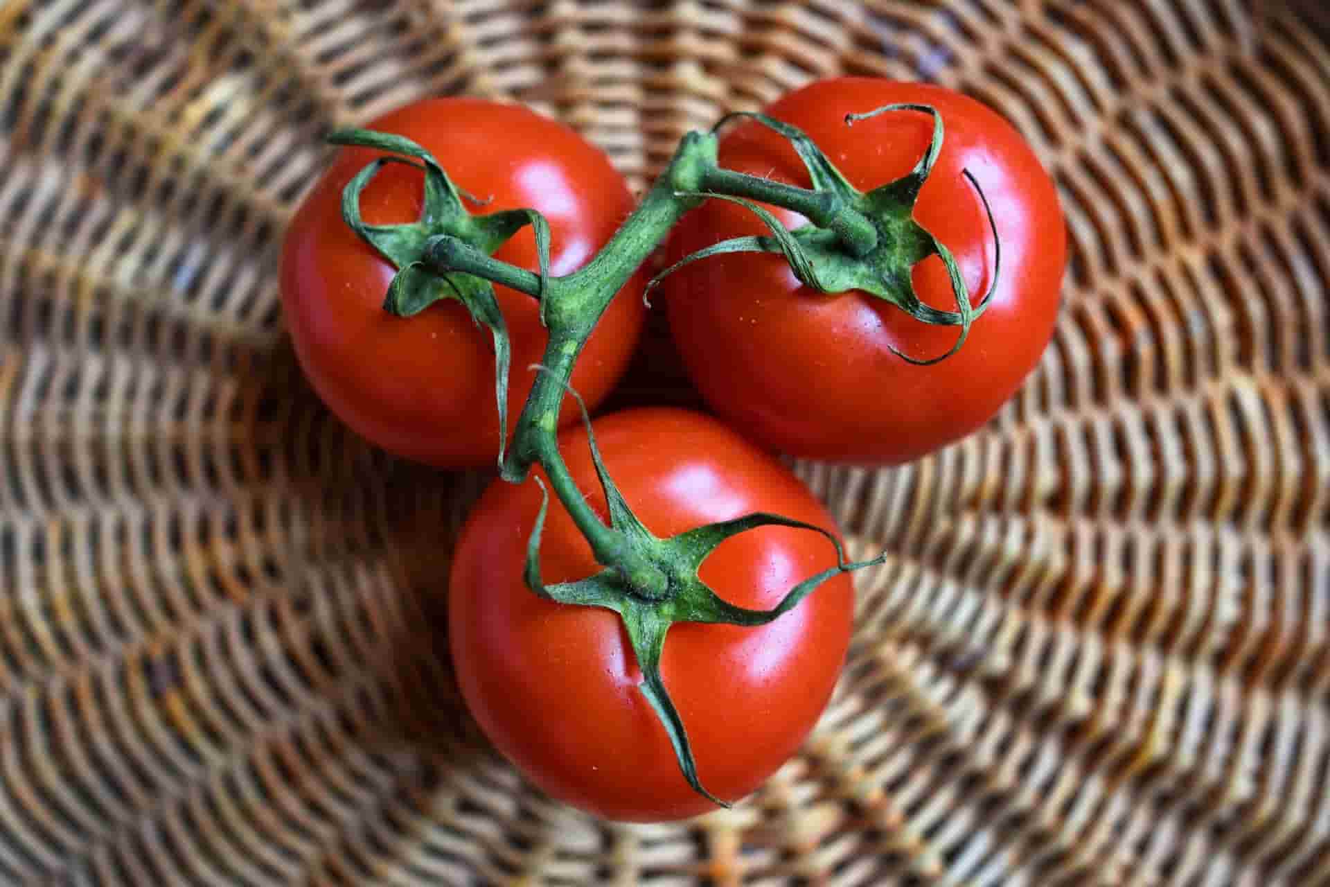 تصویر 3 از قیمت گوجه فرنگی قرمز + خرید باور نکردنی