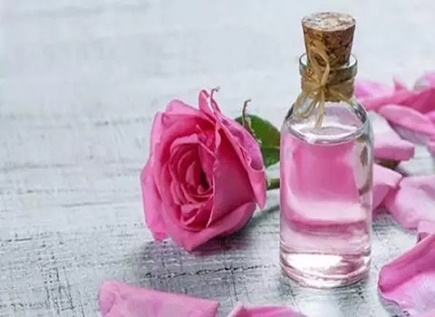 تصویر 4 از قیمت گلاب گل محمدی + خرید باور نکردنی
