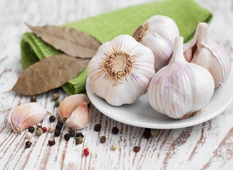 تصویر 1 از قیمت سیر خشک همدان با کیفیت ارزان + خرید عمده