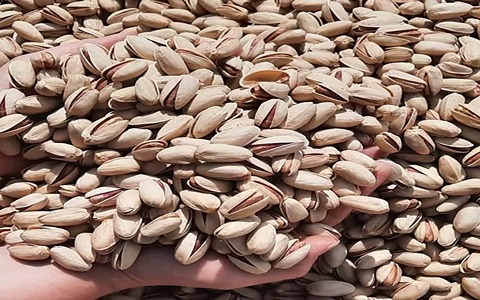 تصویر 4 از قیمت خرید پسته اکبری شور  + فروش ویژه