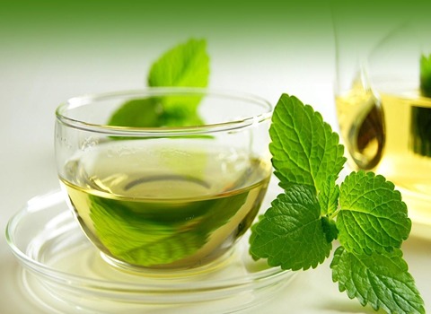 تصویر 2 از قیمت خرید عرق نعنا فلفلی + فروش ویژه