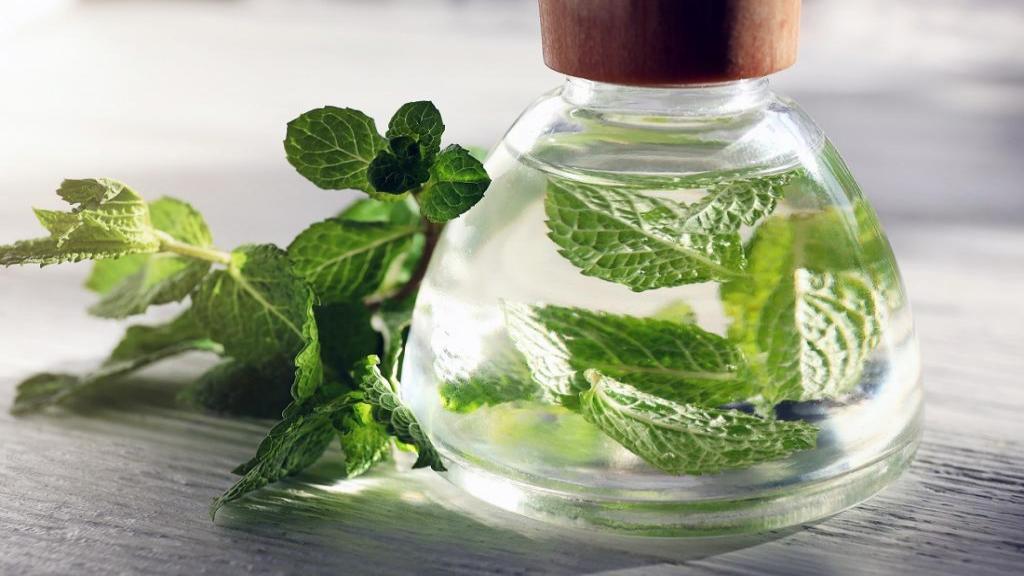 تصویر 1 از قیمت خرید عرق نعنا فلفلی + فروش ویژه