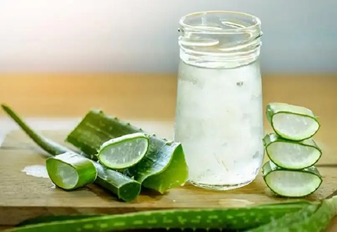 تصویر 1 از خرید و قیمت برگ آلوئه ورا + فروش عمده