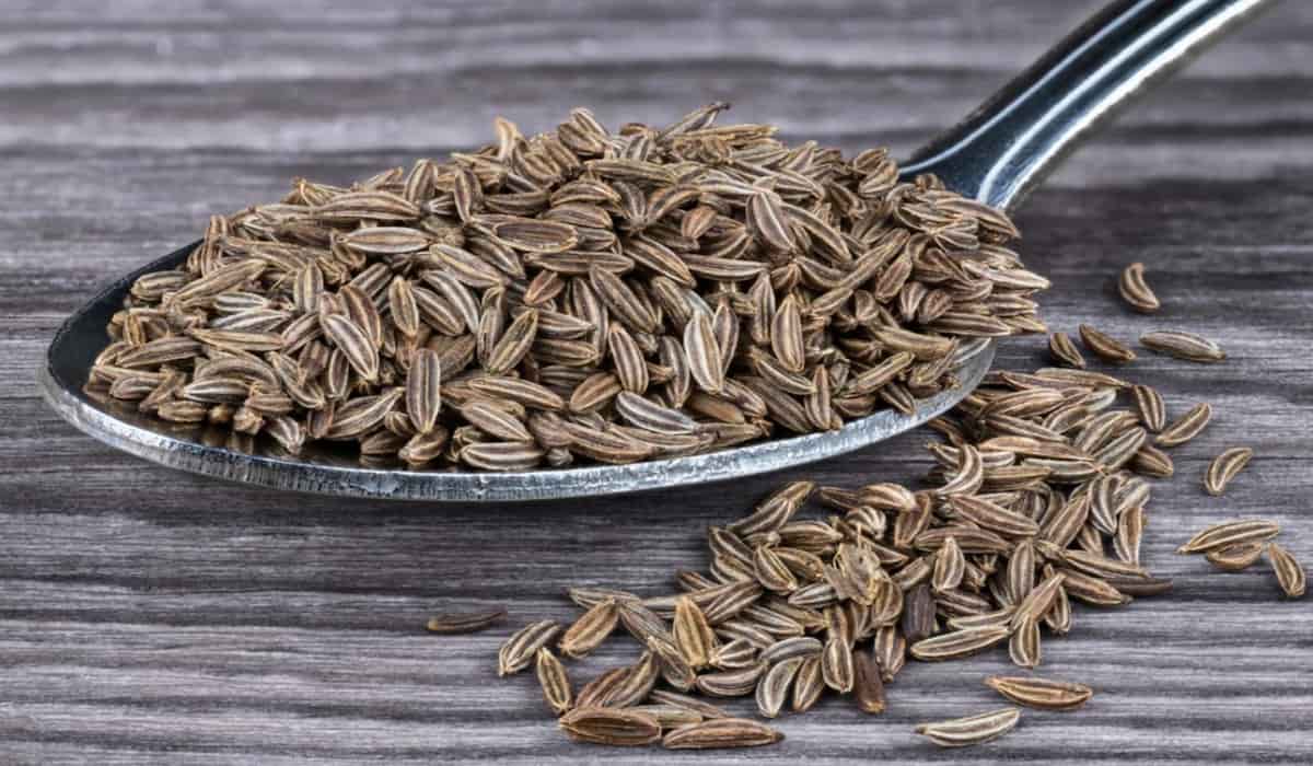 تصویر 2 از قیمت تخم چهار زیره + خرید باور نکردنی