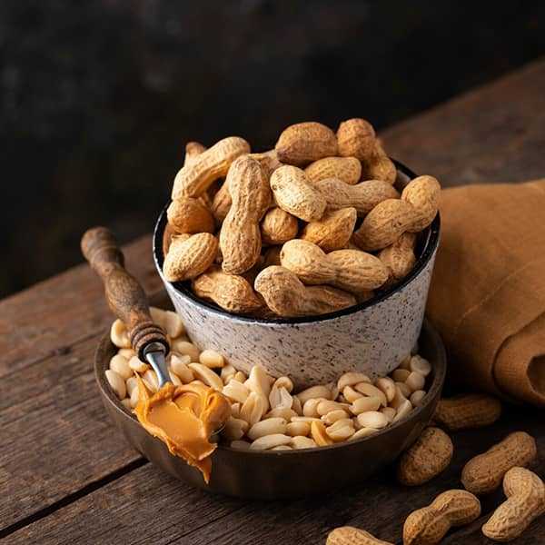 تصویر 3 از خرید و قیمت بادام زمینی فله ای + فروش عمده