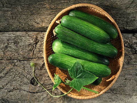 تصویر 1 از قیمت خرید خیار قلمی گلخانه ای + فروش ویژه