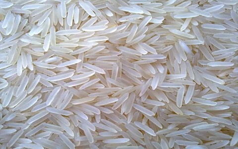 تصویر 4 از خرید برنج هاشمی درجه یک گلستان + قیمت فروش استثنایی