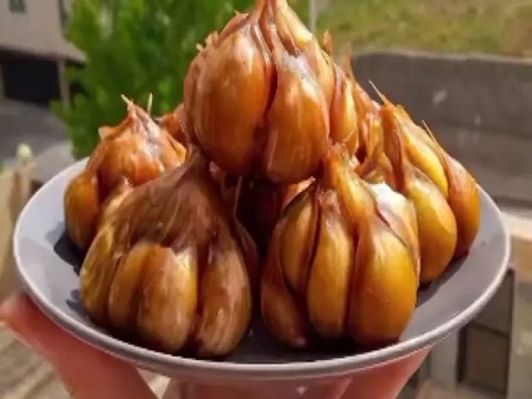 تصویر 2 از قیمت سیر ترشی هفت ساله + خرید باور نکردنی