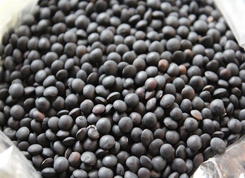 تصویر 3 از قیمت عدس سیاه بهاباد + خرید باور نکردنی