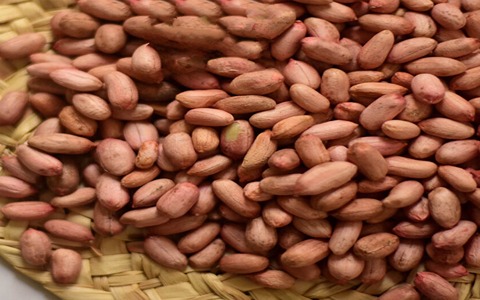 تصویر 4 از فروش بادام زمینی بدون نمک + قیمت خرید به صرفه