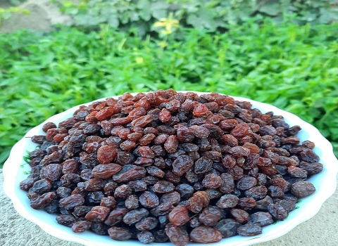 تصویر 2 از فروش کشمش آفتاب خشک + قیمت خرید به صرفه