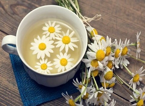 تصویر 2 از قیمت عرق گیاهی بابونه با کیفیت ارزان + خرید عمده