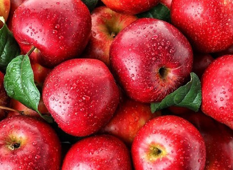 تصویر 1 از خرید و قیمت سیب قرمز گالا + فروش عمده