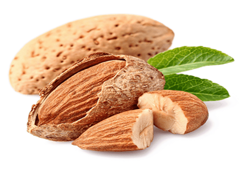 تصویر 4 از خرید و فروش بادام درختی کاغذی با شرایط فوق العاده